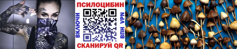 Псилоцибиновые грибы Magic Shrooms  купить наркотик  Ковылкино 